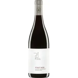 Pinot Noir Reserve Selektion P Weingut Paul Achs 2021 BIO
