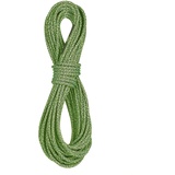 Edelrid Swift Protect Pro Dry 8,9mm Kletterseil - Green