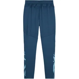 Puma individualFINAL Trainingshose Kids Grün F56