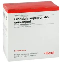 Glandula Suprarenalis suis Injeel Ampullen