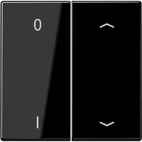 Jung Wandsender ENO LS 995 P01
