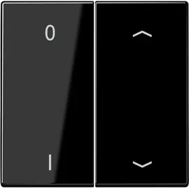Jung Wandsender ENO LS 995 P01