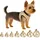 Karlie Flamingo Hundegeschirr Beige XS