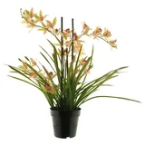 Kunstorchidee Kunstblume Cymbidum Orchidee XINGUI, rosa-grün, 70 cm Orchidee (Orchidee cymbidium), artplants rosa