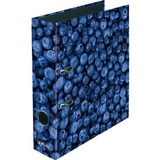 maX.file Fruits Motivordner Blaubeere 8,0 cm DIN A4