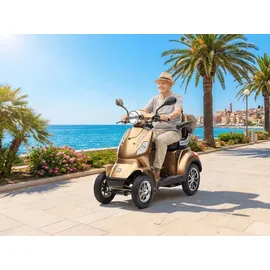 ECONELO P4000 Lithium-Akku Braun