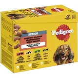 PEDIGREE Senior Frischebeutel Multipack in Gelee - Sparpaket: Gemischte Selektion in Gelee (4 Varietäten) x 100 g