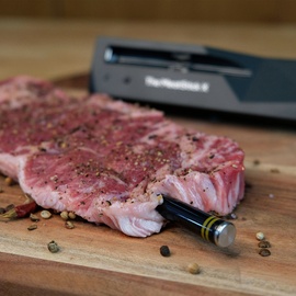 The MeatStick Grillthermometer PS861EX