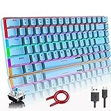 Hoopond Mechanische Tastatur,AK33 Regenbogen-LED-Hintergrundbeleuchtung, USB-Kabel, Gaming-Tastatur,82 Tasten, kompakte mechanische Gaming-Tastatur mit Anti-Ghosting-Tasten für Gamer und Schreibkräfte