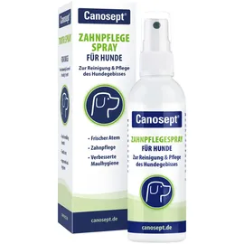 Canosept Zahnpflegespray 100 ml
