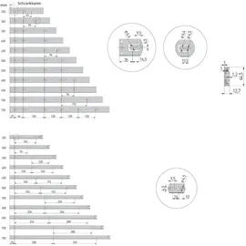 MS Beschläge Schubladenschiene mit Selbsteinzug 45mm Höhe Vollauszug 450mm