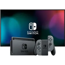 Nintendo Switch grau