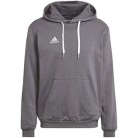Adidas Entrada 22 Sweat Hoodie Team Grey Four M