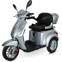 Efun ECO ENGEL 500 Elektromobil 3 Rad Scooter Silber