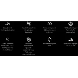 Segway Ninebot E45D E-Scooter (9 Zoll, Grau)