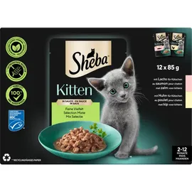 Sheba Kitten in Sauce Feine Vielfalt mit Lachs Huhn) MSC 12x85 g