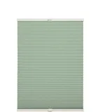Schöner Wohnen Plissee 'Milla' grün 120 x 130 cm
