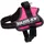 Trixie Powergeschirr Hundegeschirr Fuchsia Mini-Mini