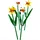LEGO Botanicals Narzisse 40646n
