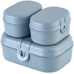 Koziol - Pascal Ready Mini Lunchbox-Set, nature flower blue