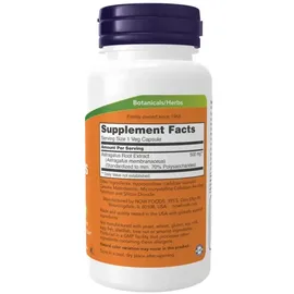 NOW Foods Astragalus-Extrakt Kapseln 90 St.