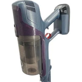 Rowenta X-Pert 6.60 Essential RH6838