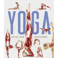 YOGA - Atlas der Anatomie