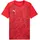 Puma teamFINAL Graphic Jersey PUMA Red/PUMA White/Dark Cherry S