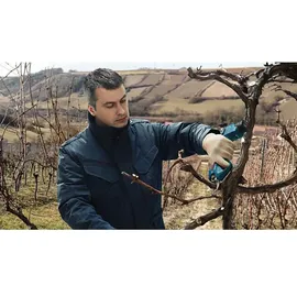 Bosch Akku-Pro-Astschere Pruner ohne Akku