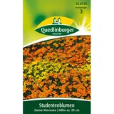 Quedlinburger Studentenblumen ''Zwerg-Mischung''