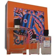 Hermès Terre d'Hermès Eau de Toilette 100 ml + Eau de Toilette 12,5 ml + After Shave 40 ml Geschenkset