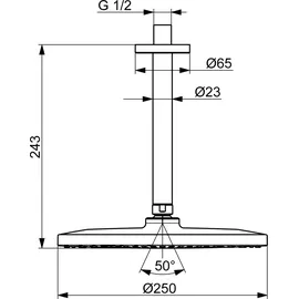 Hansa HANSAVIVA Kopfbrause rund 250mm (44270200)