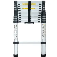 EAXUS Teleskopleiter 3,2 m 11 Sprossen