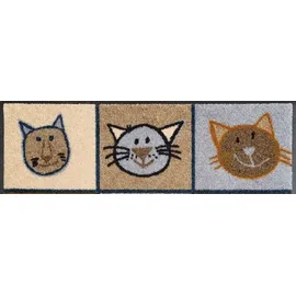 Wash+Dry Wash & Dry Fußmatte Miau Miau