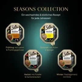 Sheba Seasons Collection 2 x 11 x 85 g