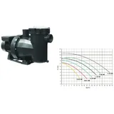 Fluidra Deutschland GmbH Victoria Plus Silent Pumpe grau 15,0 m3/h