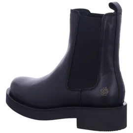 Apple of Eden AW24-CALVIA BLACK - 40