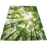 merinos Teppich »BELIS BÄUME«, rechteckig, Kurzflorteppich, Natur Wald Motiv, für alle Räume 68875050-3 grün 13 mm,