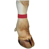 Agritura Fessel-Markierungsband 33 x 4 cm Rot