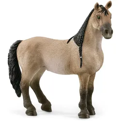 Schleich HORSE CLUB Criollo Definitivo Mare, 5 Jahr(e), Braun