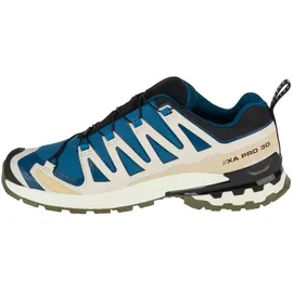 Salomon XA Pro 3D V9 GTX Herren Dark Blue/Icicle/Aloe 46