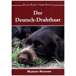 Der Deutsch-Drahthaar