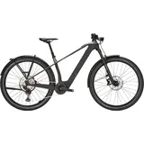 BULL'S Sonic SX Dakar 2026 29 Zoll Diamant monza grey/UD carbon XL