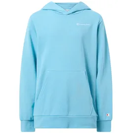 Champion Hoodie Blue 176