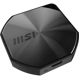 MSI DATAMAG 20Gbps 1TB - 1.600 MB/s lesen, 1.500 MB/s schreiben, magnetische Por