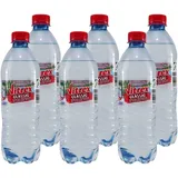 schwarzwald-sprudel wildberg gmbh Vitrex Mineralwasser -Classic- (6 x 0,5L) EINWEG