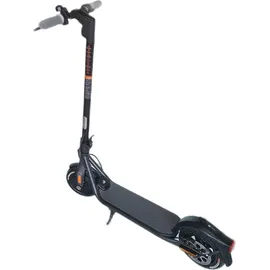 Segway-Ninebot F20D schwarz