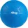 Matchu Sports Medizinball 1/2/3/4/5 kg Fitnessball Gewichtsball 4