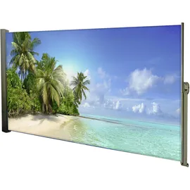 Garden Pleasure Seitenmarkise 160 x 300 cm grau Aluminium