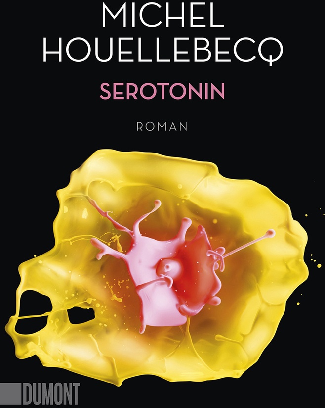 Serotonin - Michel Houellebecq  Taschenbuch
